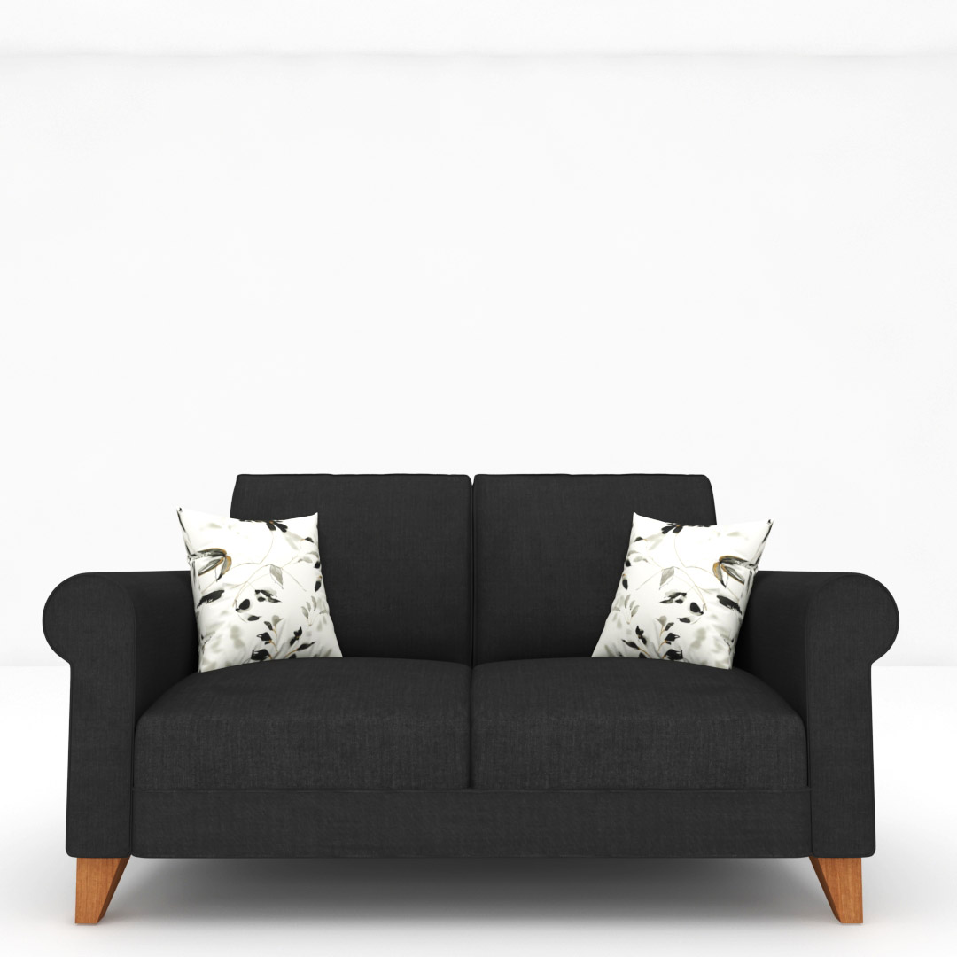 2 Seater Sofa (In Black Color)